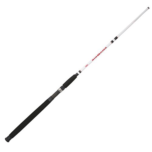 berkley big game casting fishing rod