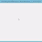 カスタマー画像