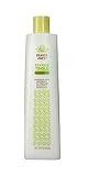 Trader Joe's Tea Tree Tingle Conditioner with Peppermint and Eucalyptus - Cruelty Free (16 oz)