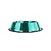 Platinum Pets Non-Tip Stainless Steel Dog Bowl, Caribbean Teal, Large