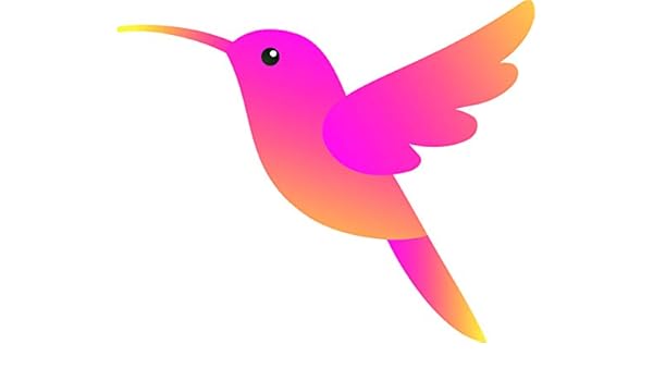 Amazon Com Cute Girly Sweet Wild Colorful Hummingbird Cartoon Vinyl Sticker 4 Wide Pink Automotive