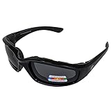 Birdz Eyewear Oriole Padded Motorcycle Glasses