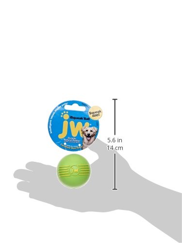 JW Pet Products, Squeak Ball, Small, 1 ct