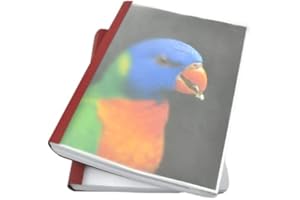 Coverbind Clear Linen Wrap-Around Thermal Binding Report Covers - 1/8 inch Spine, Letter Size, Burgundy, Portrait - Qty 90 (08CB18BURG)