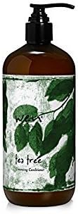 WenHairCare Tea Tree - Invigorates Dry Scalp and Hair, No Harsh Sulfates (16 oz)