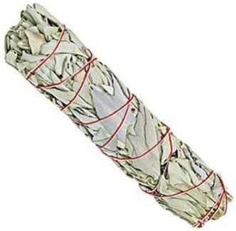 Native Spirit - Six large (XXL) White Sage Wands