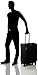 Victorinox Werks Traveler 5.0 WT Softside Spinner Luggage, Black, Checked-Medium (24