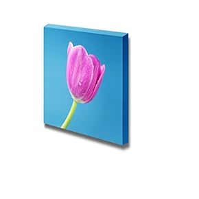 Closeup View of a Single Pink Tulip on Blue Background Floral Photograph - Canvas Art Wall Art - 12" x 12"
