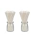 COOLAKE Lollipop Sticks 100 Pack 6 Inch Paper Candy Making Sucker Sticks for Cake Topper, DIY Homemade Fruit Candy, Chocolate
