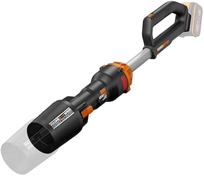 Souffleur Brushless sans Fil 20V WG543E.9