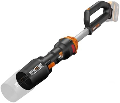 Souffleur Brushless sans Fil 20V WG543E.9