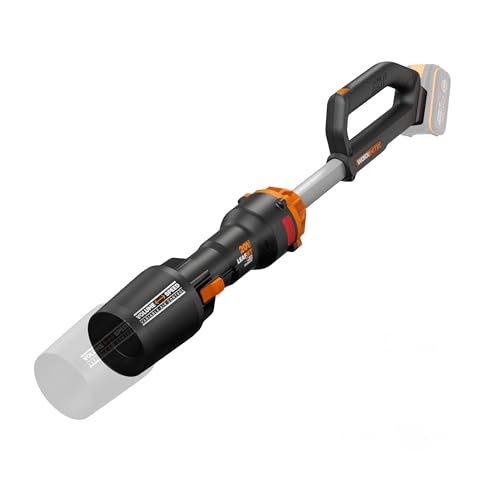 Souffleur Brushless sans Fil 20V WG543E.9