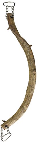 Prevue Pet Products BPV62395 Wacky Wood Lima Root Bird Perch Toys, 14-Inch, Brown