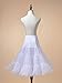 Remedios Women's 50s Vintage Petticoat Skirt Crinoline Tutu Underskirts for Women