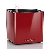 Lechuza Cube Glossy 14 Self-Watering Garden