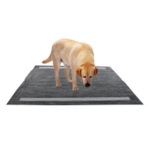 Thxpet Pet Puppy Pads Black Activated Carbon 22" by 23" Wee Wee Dog Pee Potty Training Pad Bamboo Charcoal 80 Count