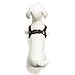 Gooby - Perfect Fit X Harness, Small Dog Choke Free Step-In Harness with Synthetic Lambskin Soft Strap, Green, Medium
