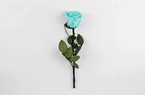Tiffany Blue Long Stem Preserved Rose that last a year, Eternity Rose, Eternal Rose, Infinity Rose