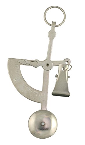 AMERICAN WEIGH SCALES Letter Postage or Kitchen Digital Scale, Silver, 100G x 1G (AMWHAND-SIL)