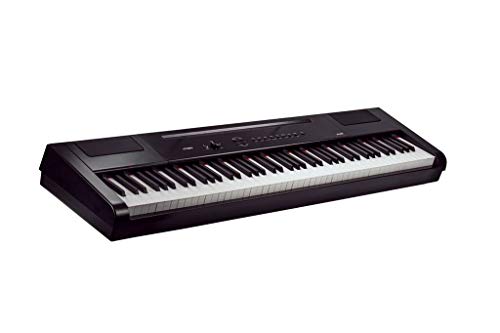Artesia PA-88H 88-Key Weighted Hammer Action Digital Piano with Sustain Pedal and Power Supply, Black
