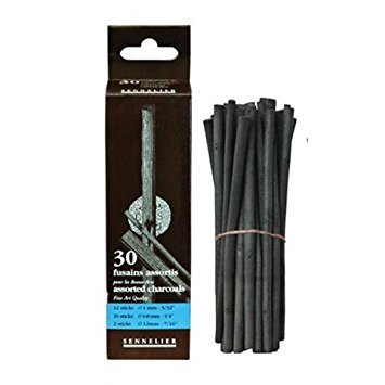 Sennelier Charcoal 30 Assorted Size Sticks