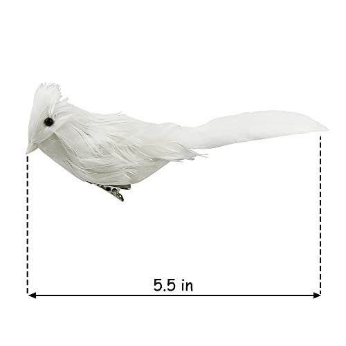 31dB40inbmL.jpg