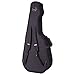 Godin Acoustic Guitar Case (40087)