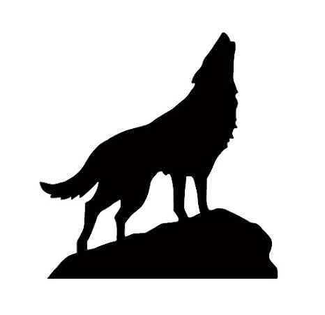 Amazon 狼 おおかみ オオカミ Wolf ウルフ 遠吠え 動物 ロック 岩