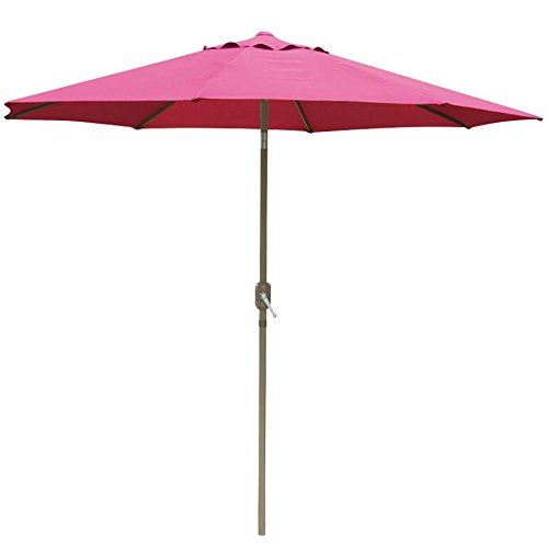 World Pride Outdoor Patio Umbrella 45 Degree Push Button Tilt W/ Crank Tilt,UV Protection Great for Garden, Pool Side, Beach, Hotel etc. (Burgundy 10ft)