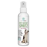 Scent Spritz Dog Spray Deodorizer, Dog Freshening