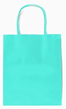 24CT Medium Mint Biodegradable, Food Safe Ink & Paper, Premium Quality Paper (Sturdy & Thicker), Kraft Bag with Colored Sturdy Handles (Medium, Mint)