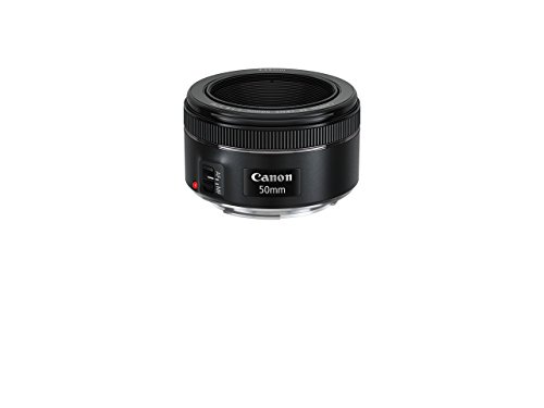 Canon EF F/1.8 STM Lens