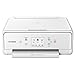 Canon 2986C022 PIXMA TS6220 Wireless All in One Printer with Mobile Printing, White, Amazon Dash Replenishment enabled, One Size, White