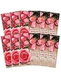 Nature Republic Real Nature Mask 10 Sheets for Skin Hydration (Rose)