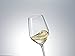 SCHOTT ZWIESEL Forté White Wine Glasses (Set of 8), Wine Glasses for White Wine, Dishwasher-Safe Machine-Made Tritan Crystal glasses, Made in Germany (13.6 Ounce)