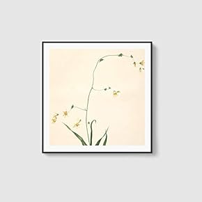 Framed Canvas Home Artwork Decoration Beautiful Flower Canvas Wall Art for Living Room, Bedroom - 16x16 inches