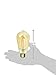 Original” Vintage Exposed Filament Clear Glass Soft White (2100K) Dimmable ST19 LED Light Bulb (BPST19/LED)