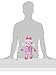 Disney Sleepy Time Lambie Plush