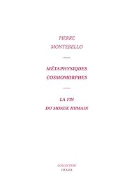 Métaphysiques cosmomorphes