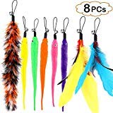 Bascolor Retractable Cat Toys Interactive Feather Teaser Wand Toy with 7 Refills Feathers Birds Worms Catcher for Kitten Cats (8pcsFeathers)