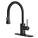 Kitchen Sink Faucet with Magnetic Docking Pull Down Sprayer Matte Black with Deck Plate Wasserrhythm