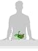Outward Hound Kyjen 31005 Egg Babies Turtle Plush Dog Toys Squeak Toy Dog Puzzle, Large, Green