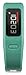 Garmin vívofit Fitness Band - Teal Bundle (Includes Heart Rate Monitor)