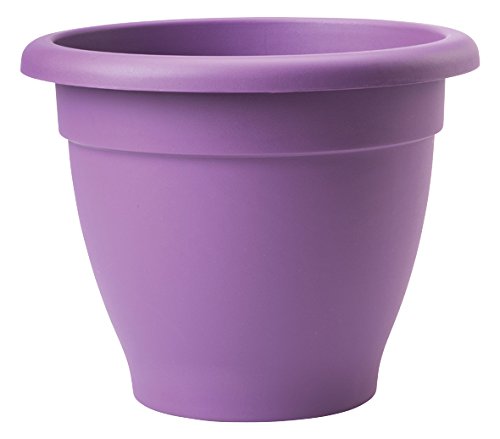 Stewart 2003073 39 cm Essentials Planter - Lavender