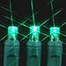 Novelty Lights 11ft 50 LED Green Christmas Lights Outdoor/Indoor, 2.5