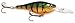 Rapala Shad Rap Rattlin' Suspending 07 Fishing lure, 2.75-Inch, Perch