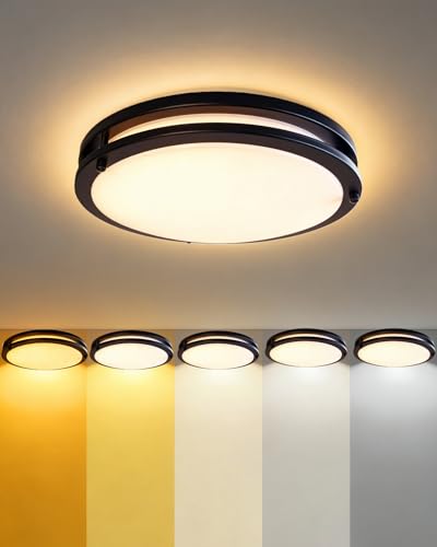 Flush Mount Ceiling Light Fixture Black