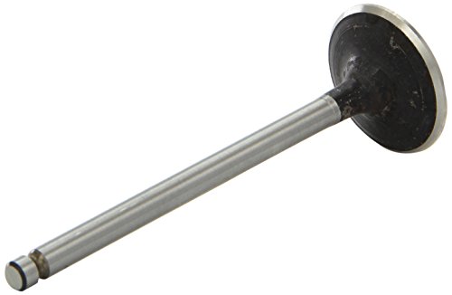 AE V94463 Einlaßventil