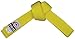 Fuji Sports Belt, Yellow, 1