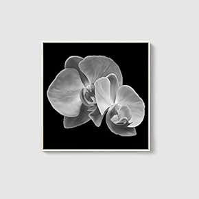Framed Canvas Home Artwork Decoration Beautiful Flower Canvas Wall Art for Living Room, Bedroom - 16x16 inches